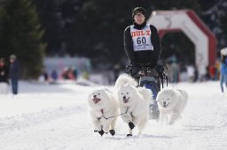 Lenzerheide 2013